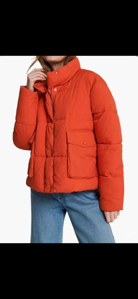 Sinsay Jackets