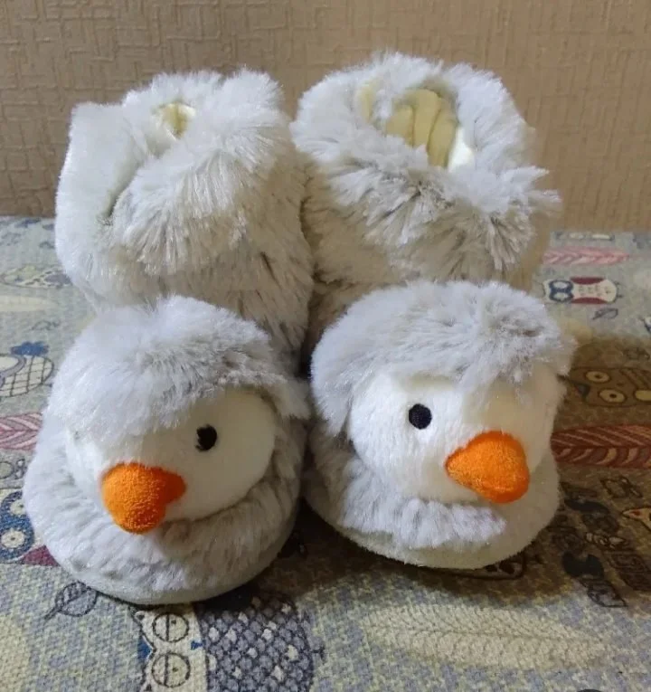 Shein Shoes, size 6–9m