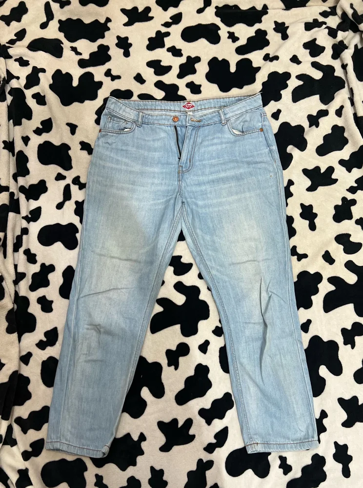 Lee Cooper Jeans, size L / 40 / 12, photo 4