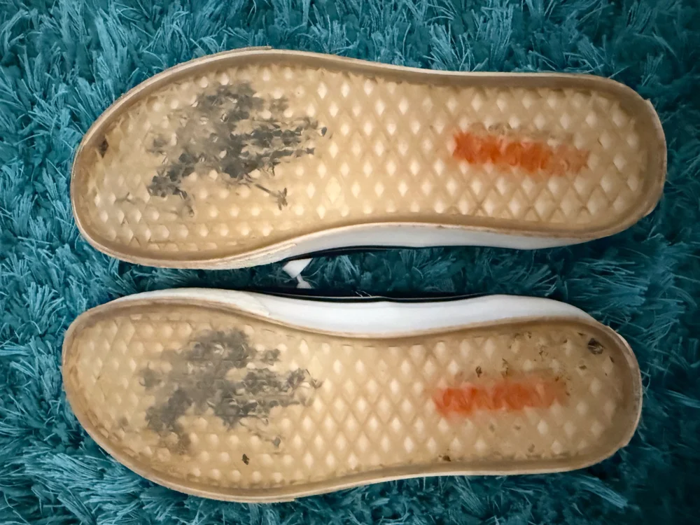 U.S. Polo Assn. Sneakers, size 38, photo 4