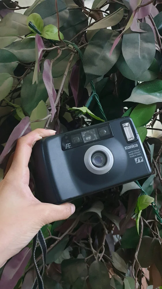 Digital Cameras