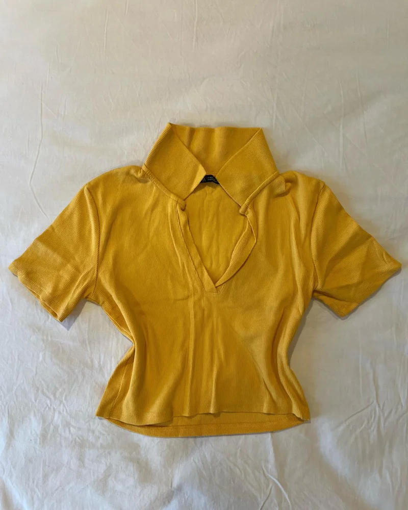 Zara Crop Tops