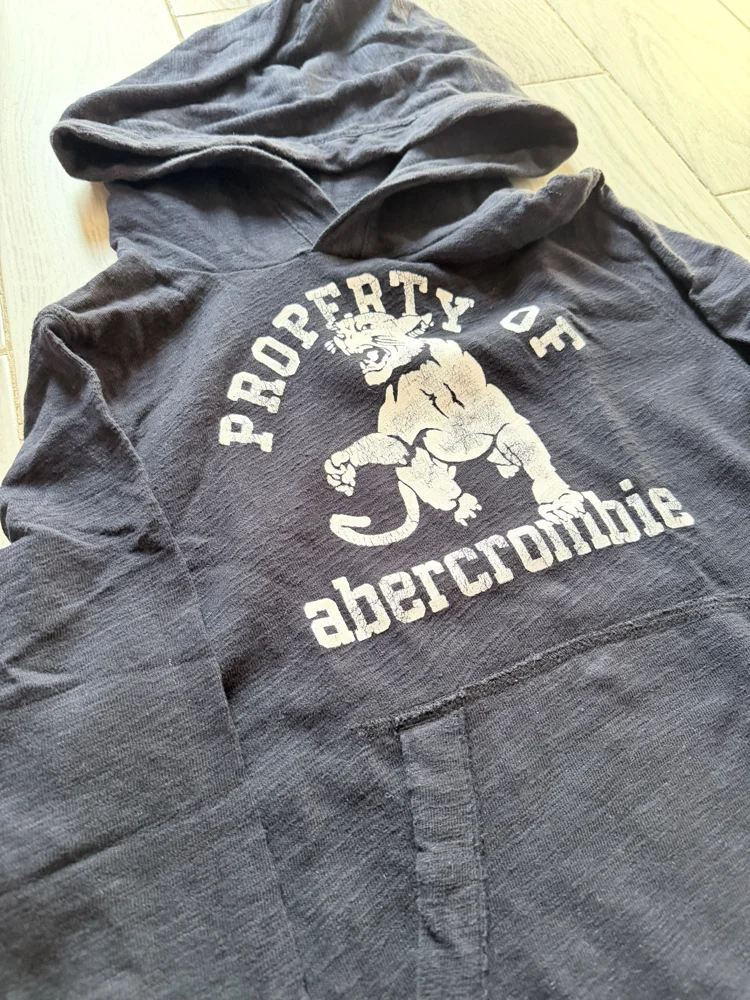 Abercrombie & Fitch Hoodies, Excellent, photo 2
