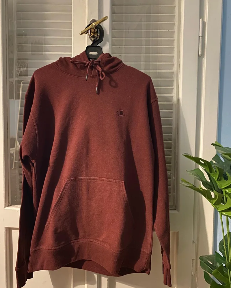 Champion Hoodies