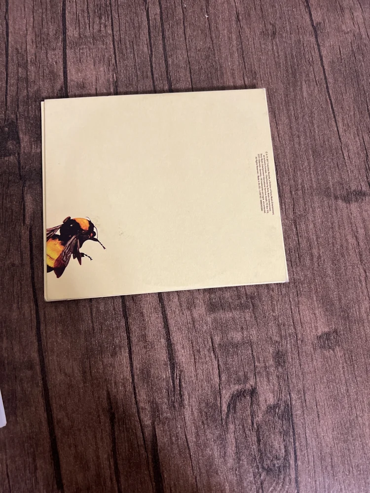 Music, size Other, photo 2