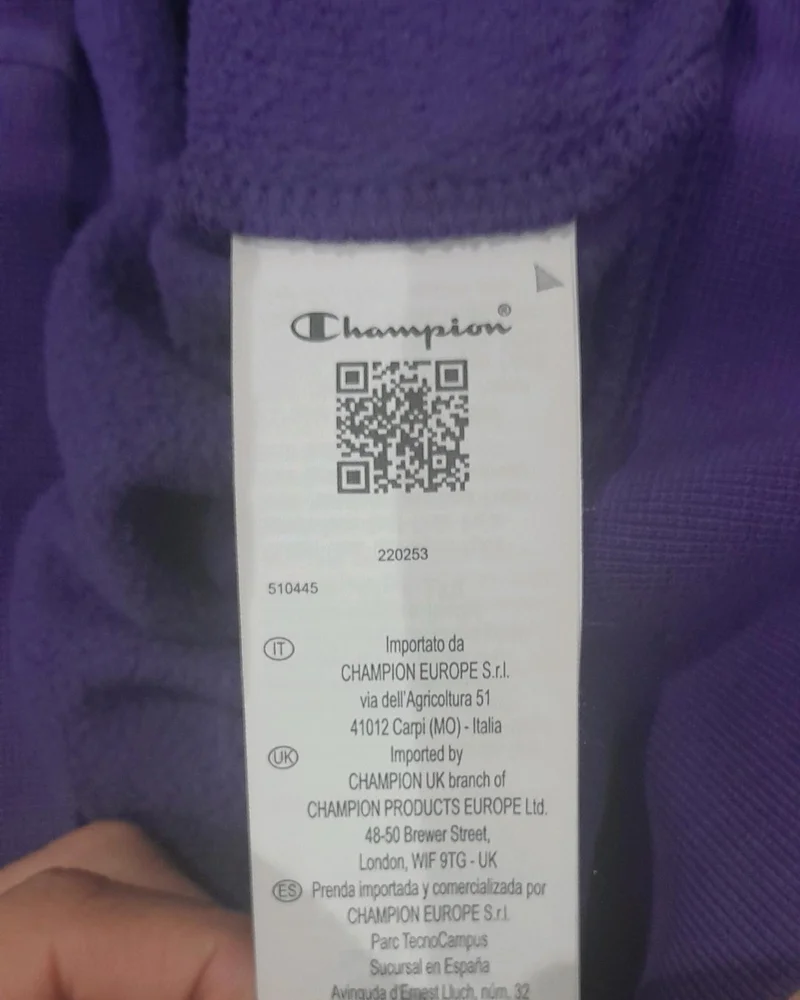 Champion Hoodies