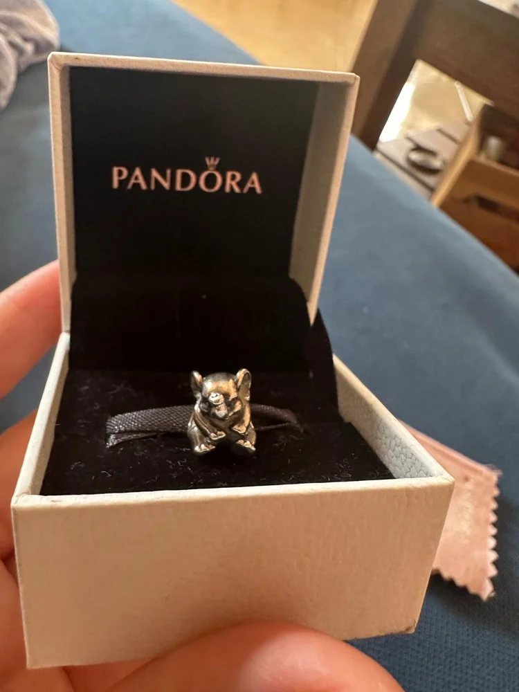 Pandora Bracelets