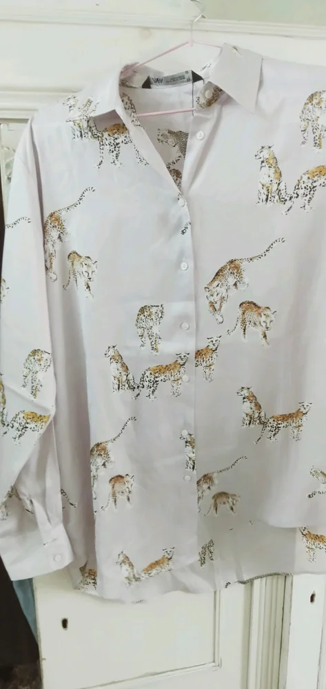 Zara Blouses, size M / 38 / 10, photo 2