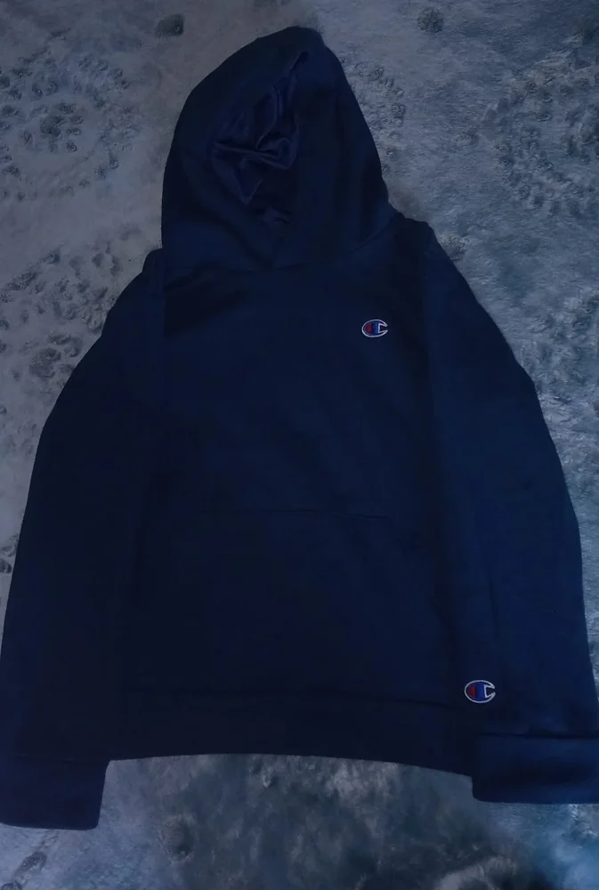 Champion Hoodies, Excellent, size M, photo 2
