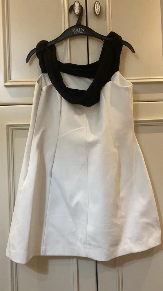 Zara Mini Dresses
