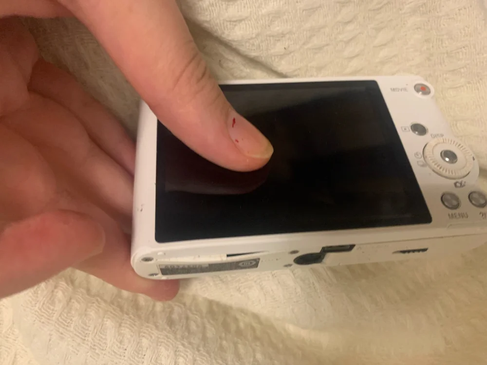 Sony Digital Cameras, size Other, photo 3