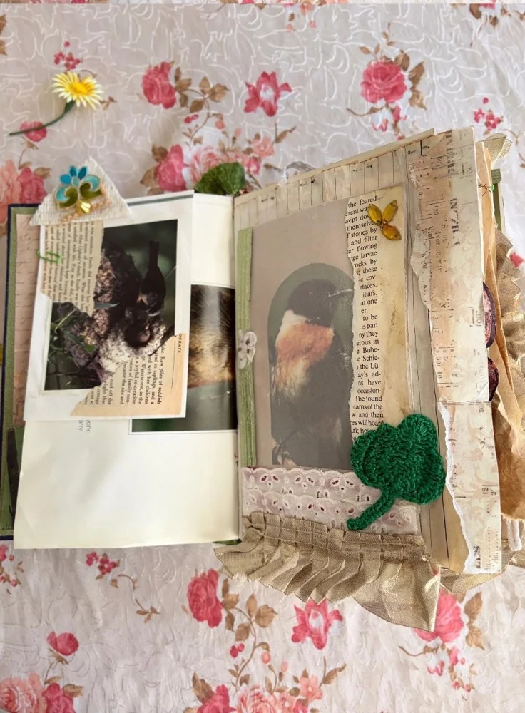 Magazines, Excellent, photo 3