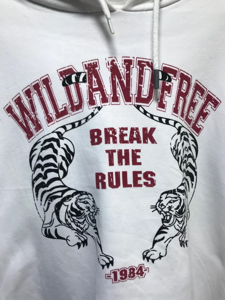 Hoodies, Excellent, size L / 40 / 12, photo 2