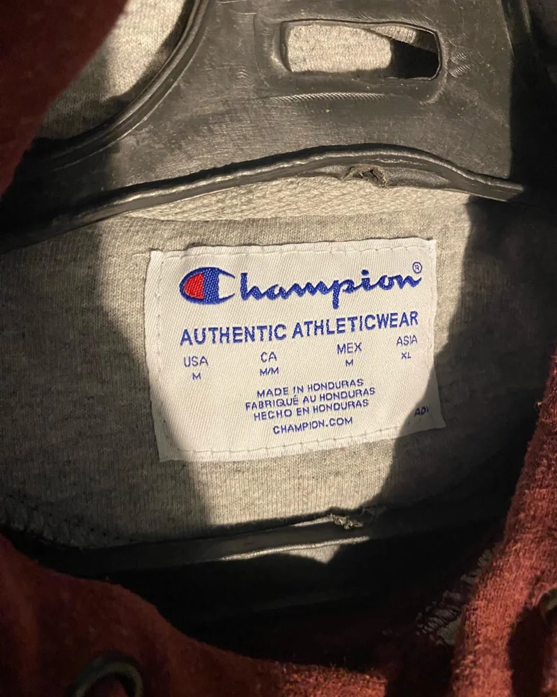 Champion Hoodies, Very good, size M / 38 / 10, photo 3