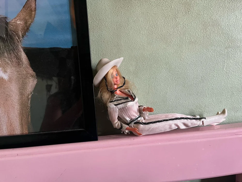 Barbie Special Occasion