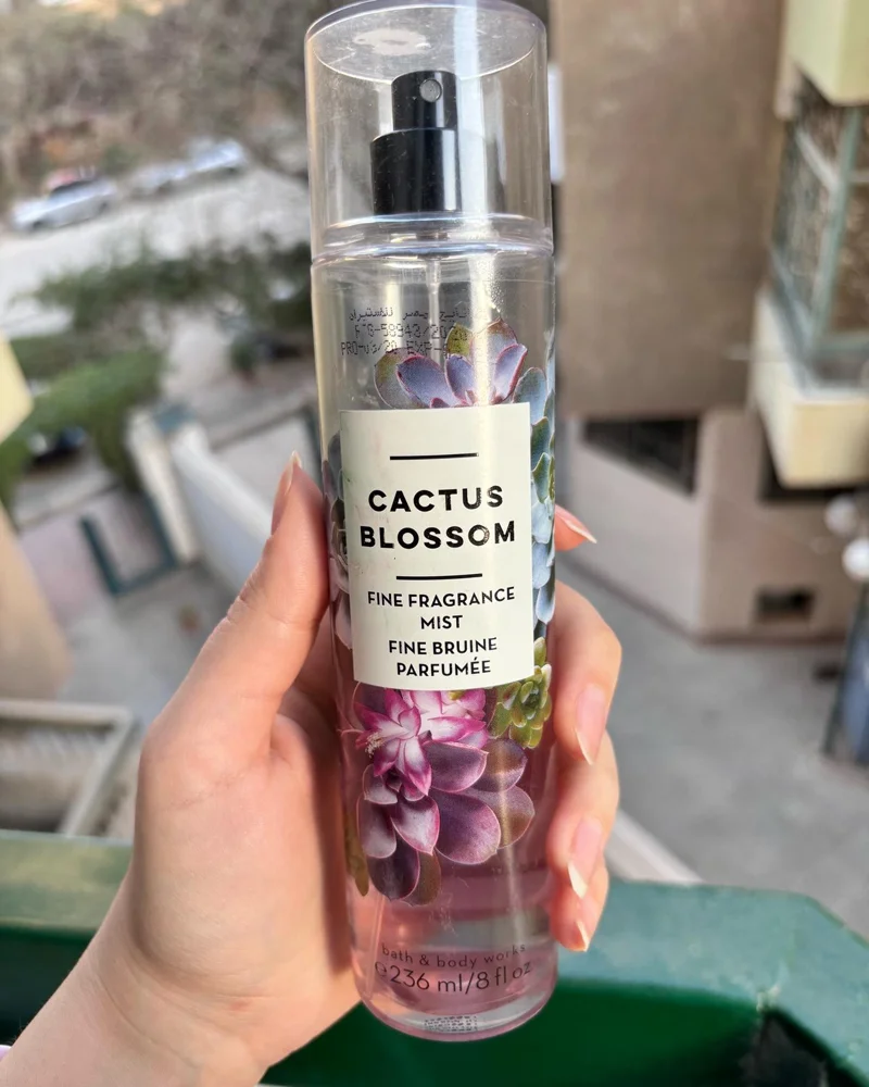 Bath & Body Works Perfume