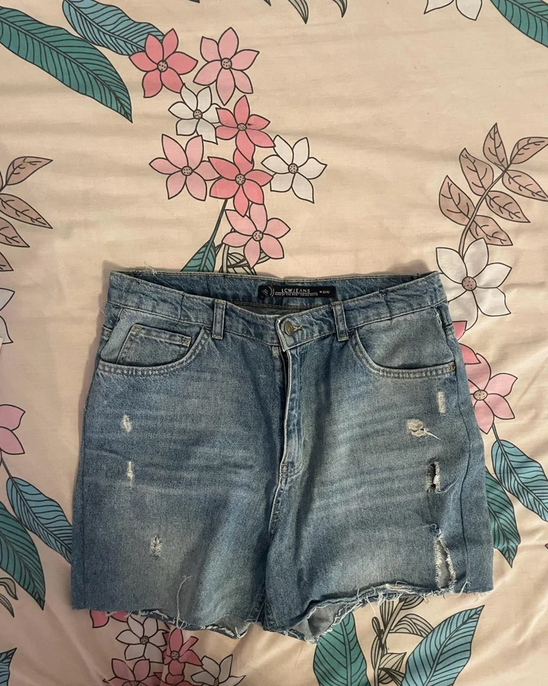 LC Waikiki Shorts