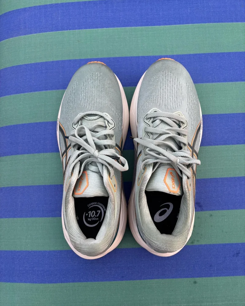 Asics Sneakers