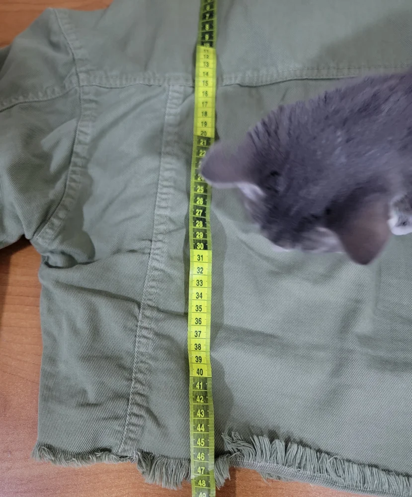 Jackets, Excellent, size M / 38 / 10, photo 4