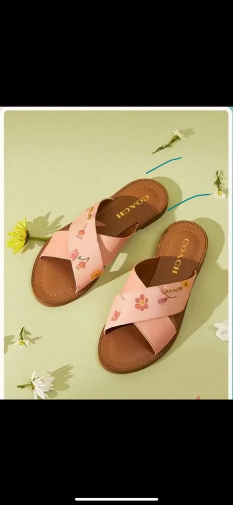 Coach Sandals