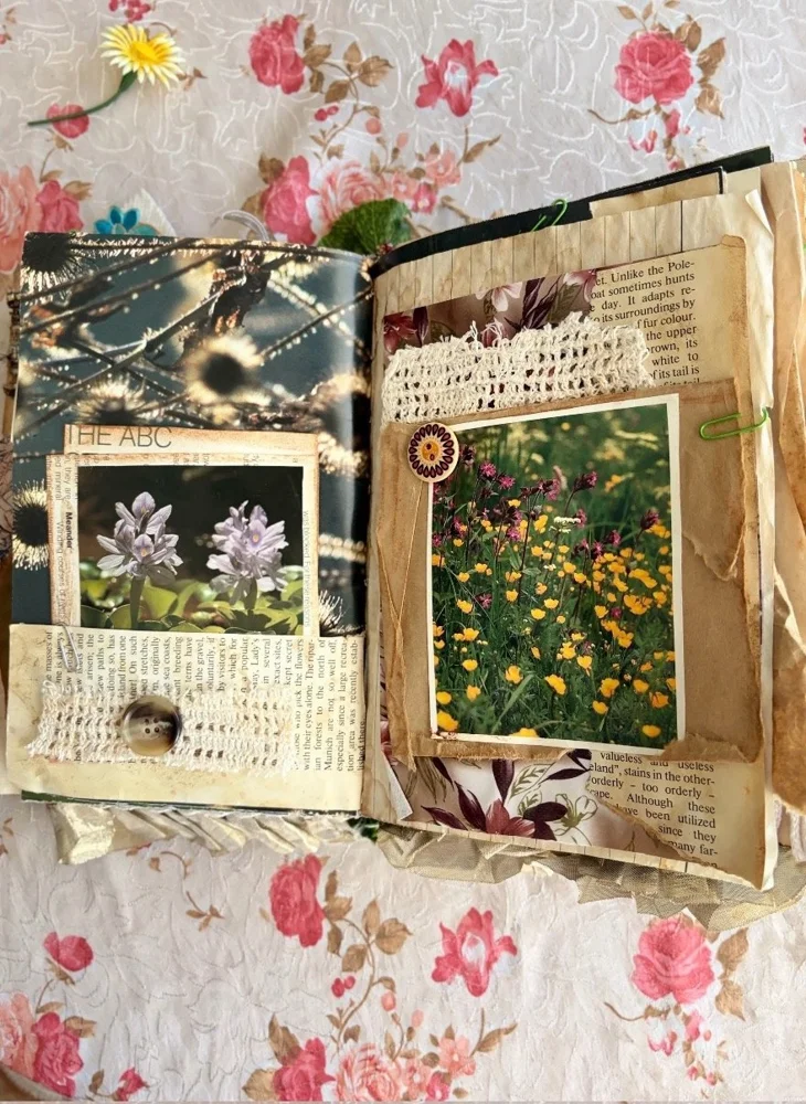Magazines, Excellent, photo 5