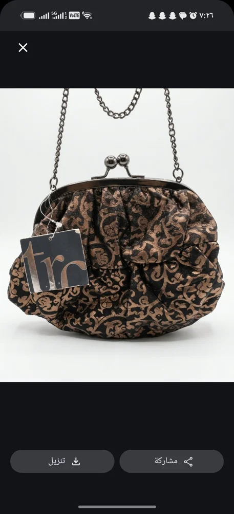 Zara Clutches & Evening Bags