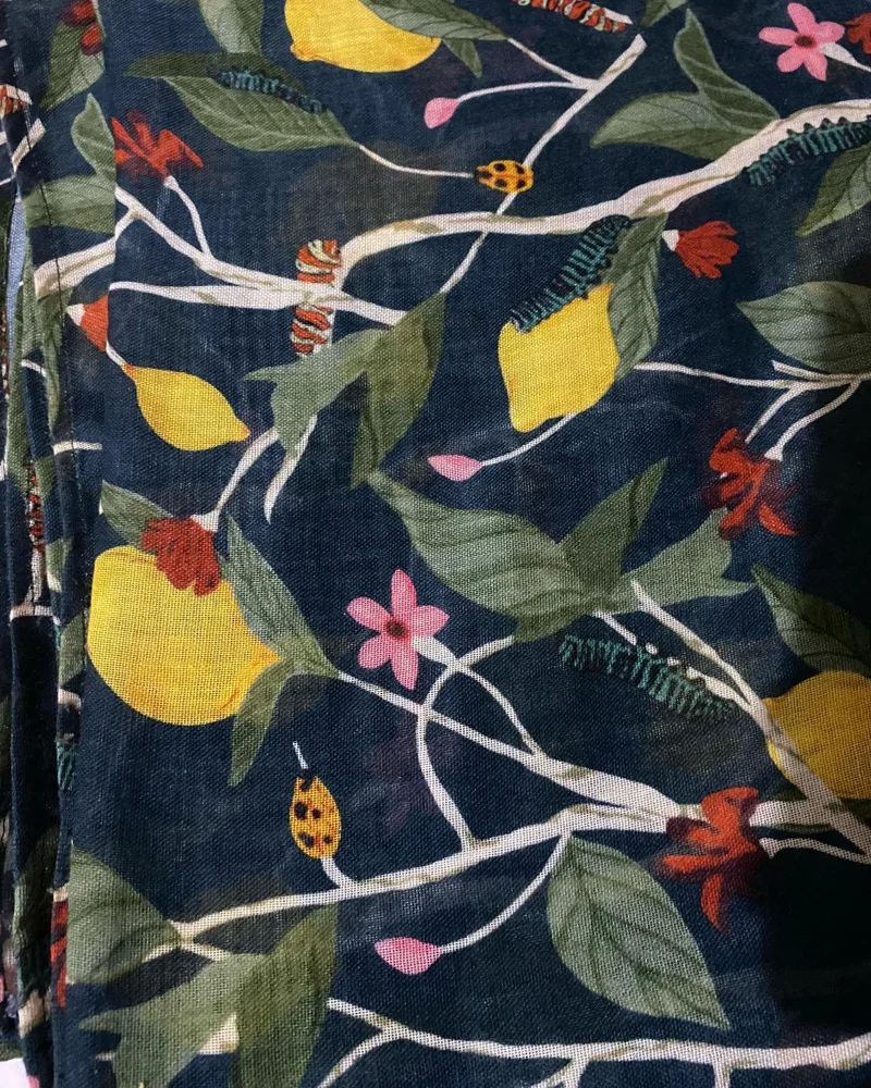 Opio Scarves & Shawls