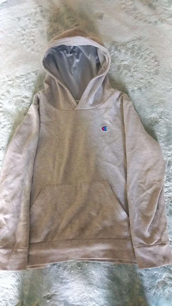 Champion Hoodies, Excellent, size M, photo 3