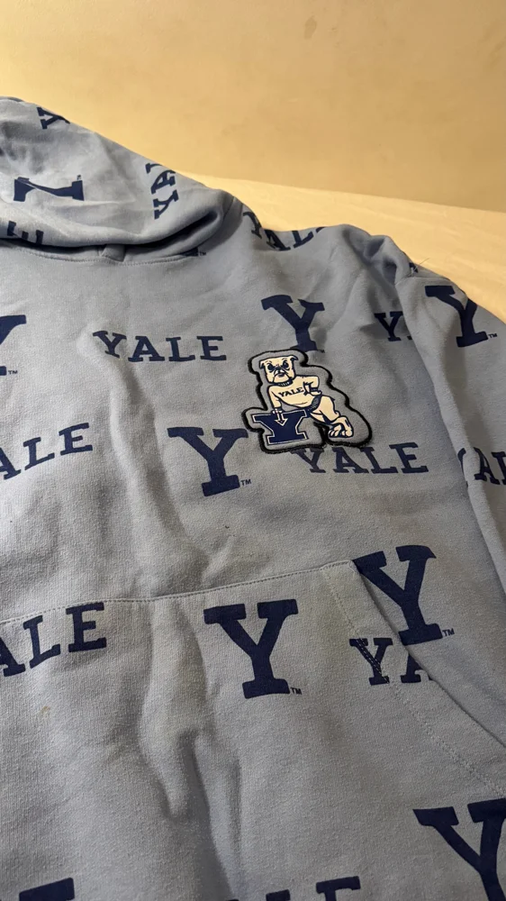 Local Hoodies, Excellent, size L, photo 2