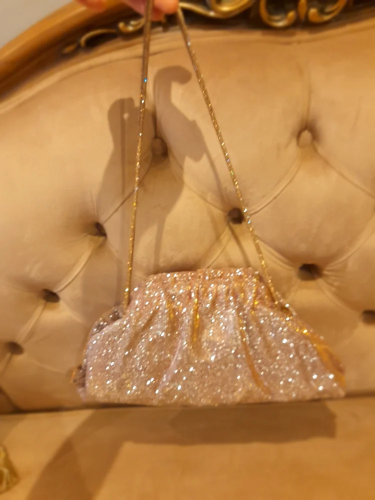 Clutches & Evening Bags