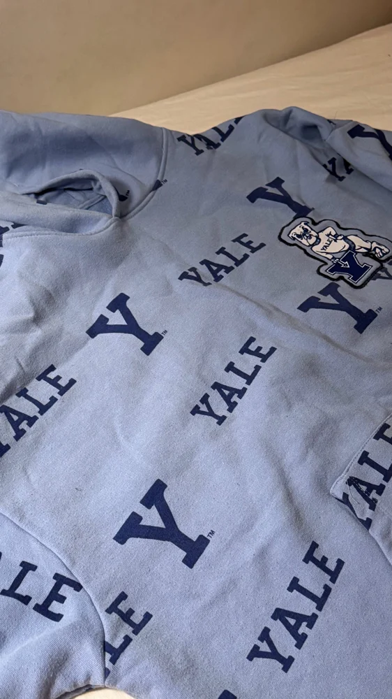 Local Hoodies, Excellent, size L, photo 3