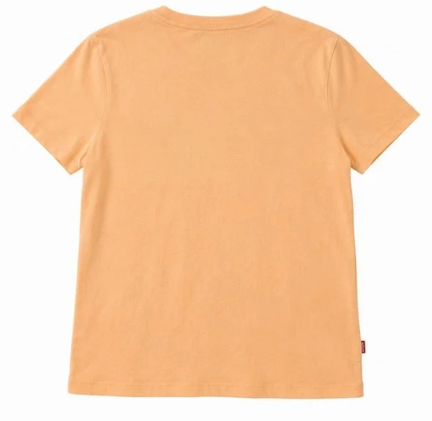 Levi's T-shirts, Excellent, size XS / 34 / 6, photo 2