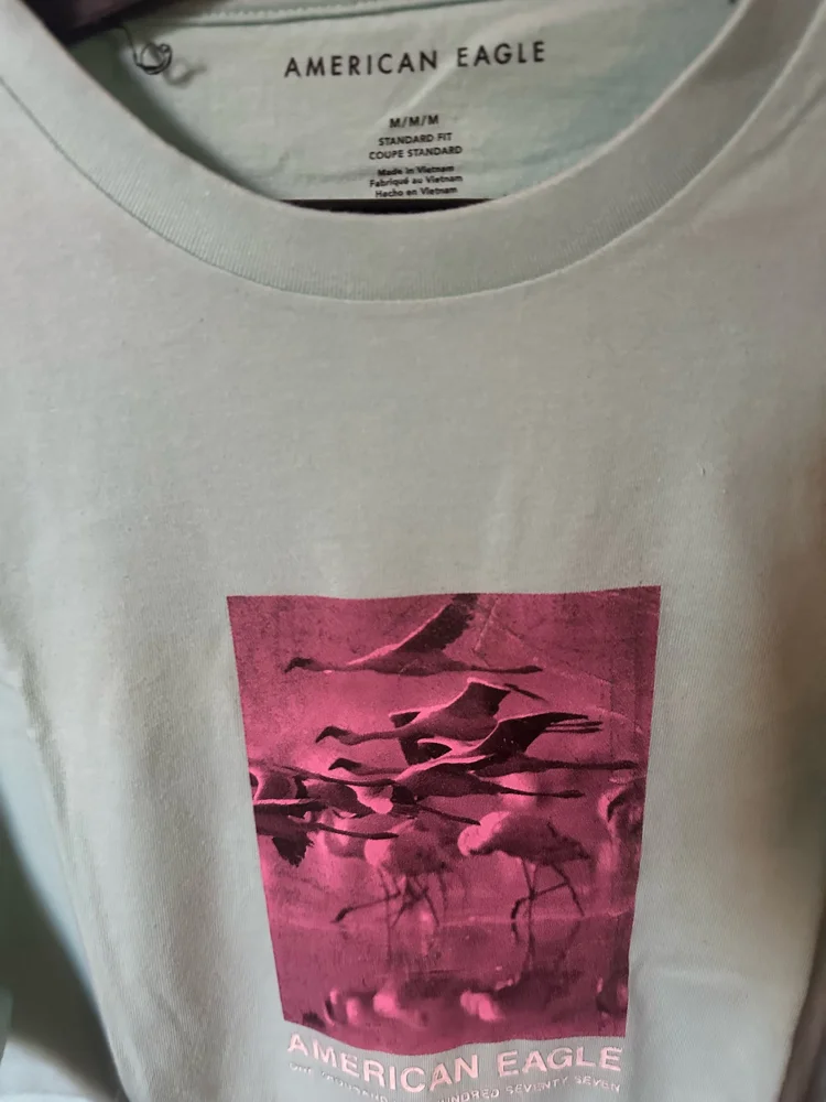 American Eagle T-shirts, size M / 38 / 10, photo 2