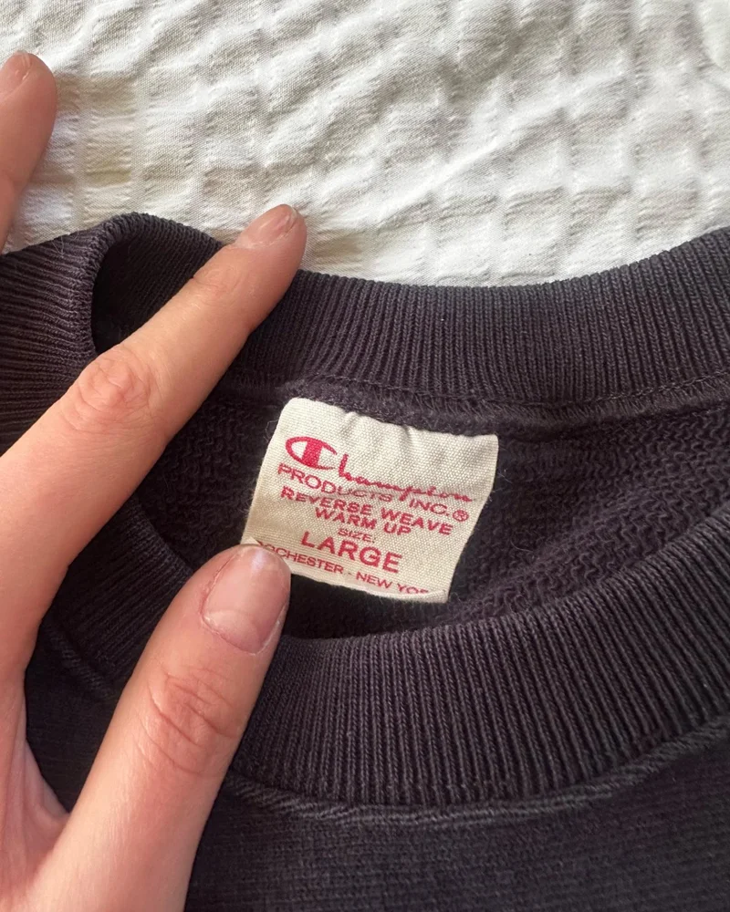 Champion Sweatshirts, Very good, size L / 40 / 12, photo 2