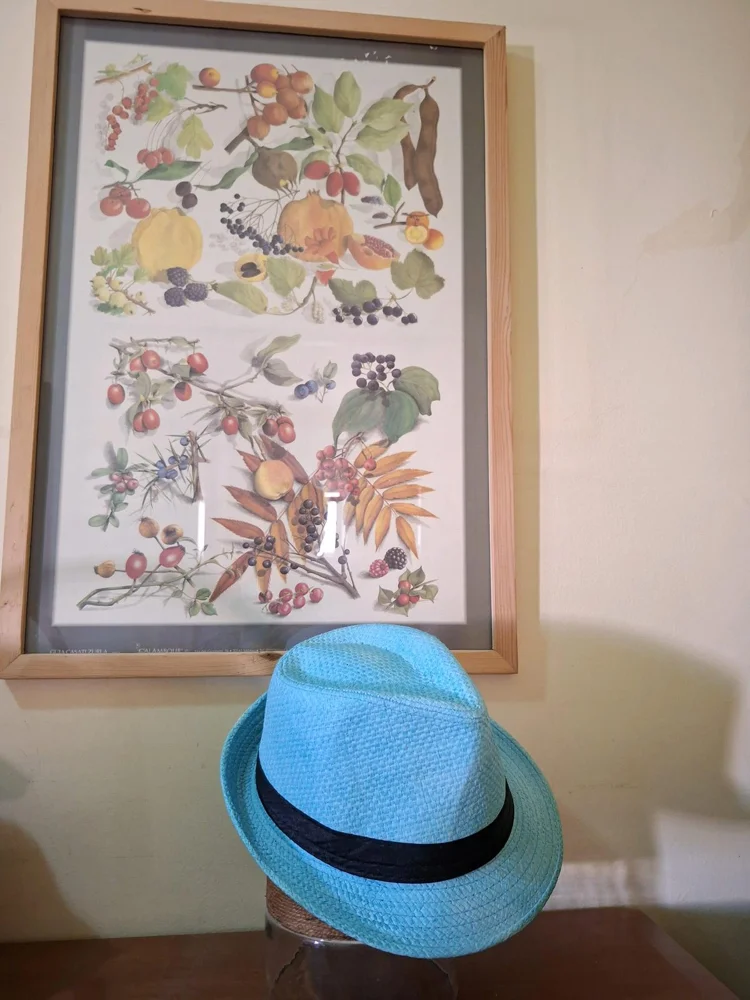 Hats & Caps
