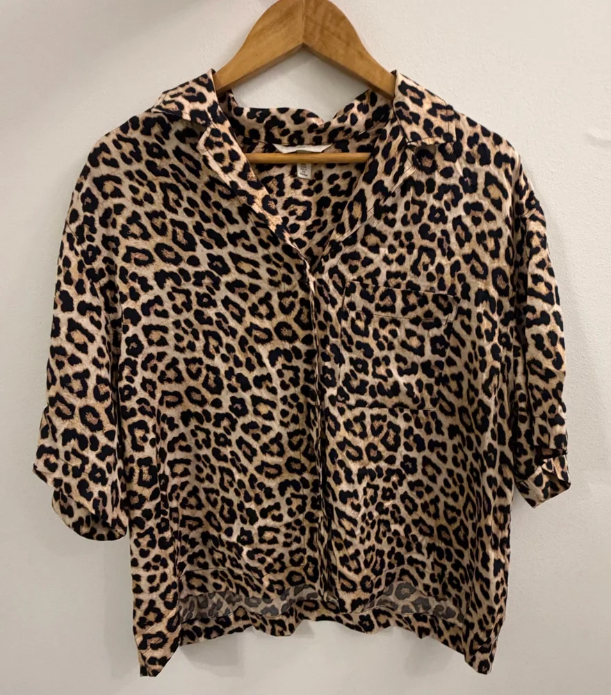 H&M Blouses