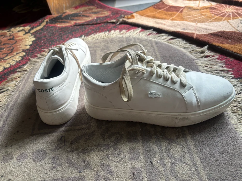 Lacoste Sneakers