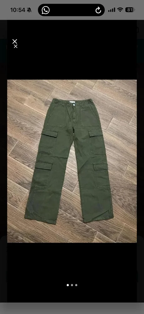 Zara Pants