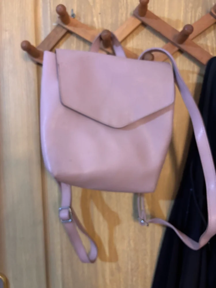 LC Waikiki Backpacks