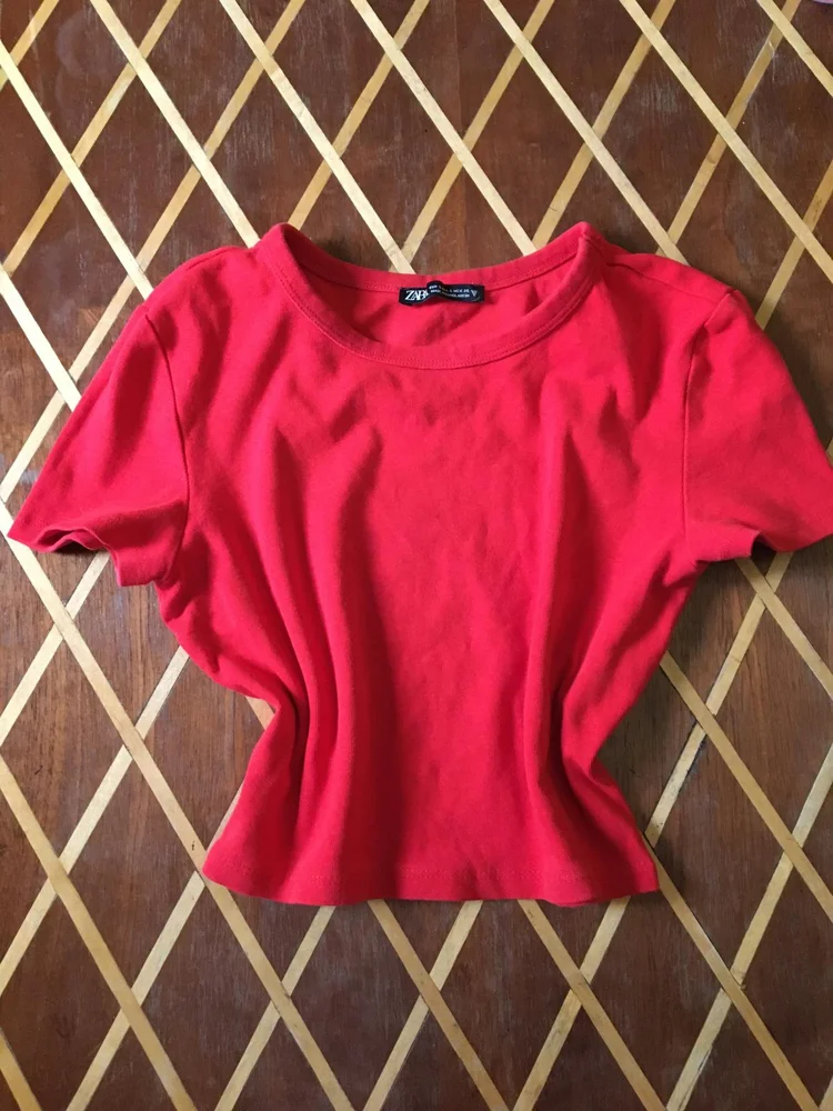 Zara Crop Tops