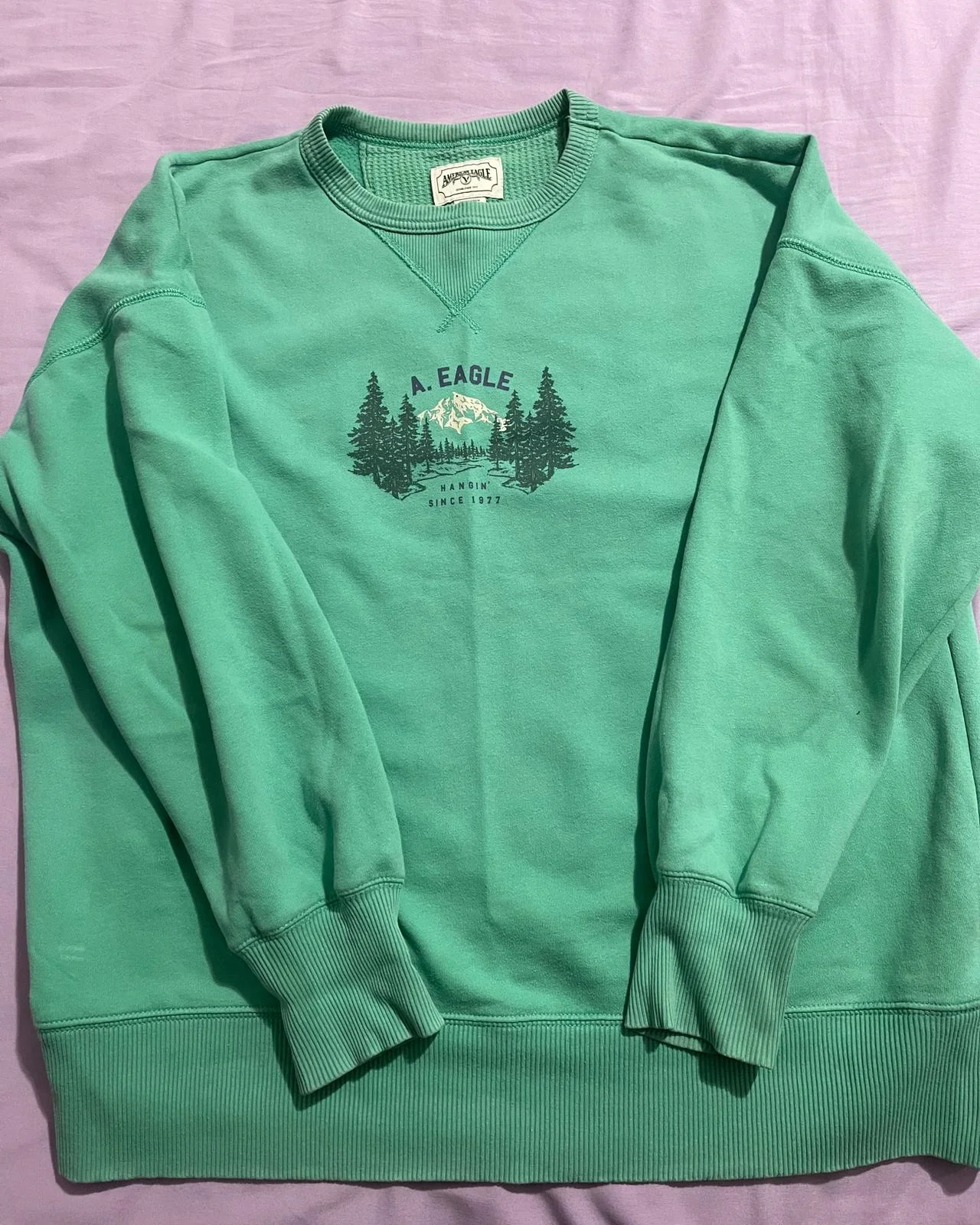 American Eagle Sweatshirts, size XS / 34 / 6, photo 1