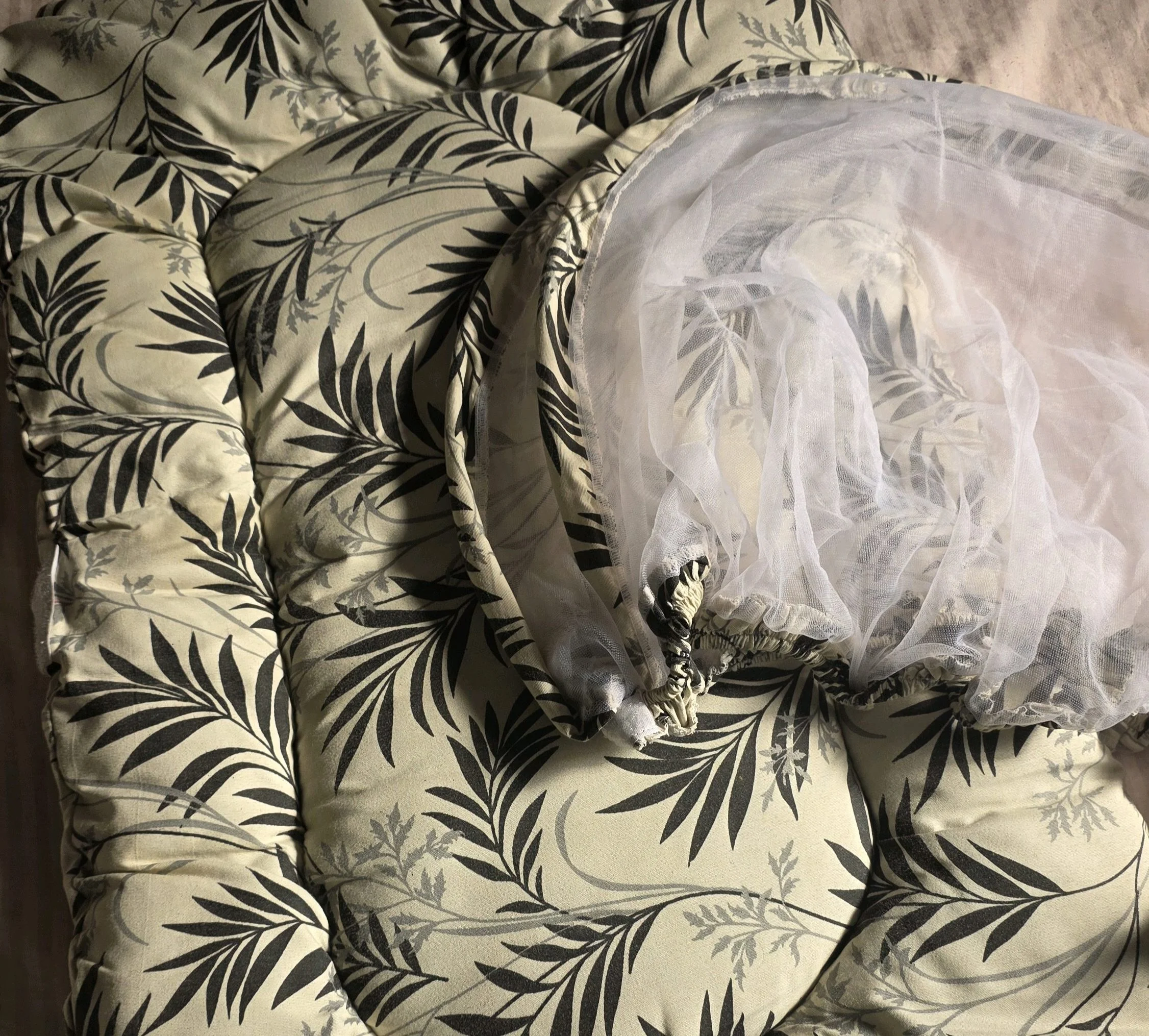 Special Occasion, size 0–1m, photo 1