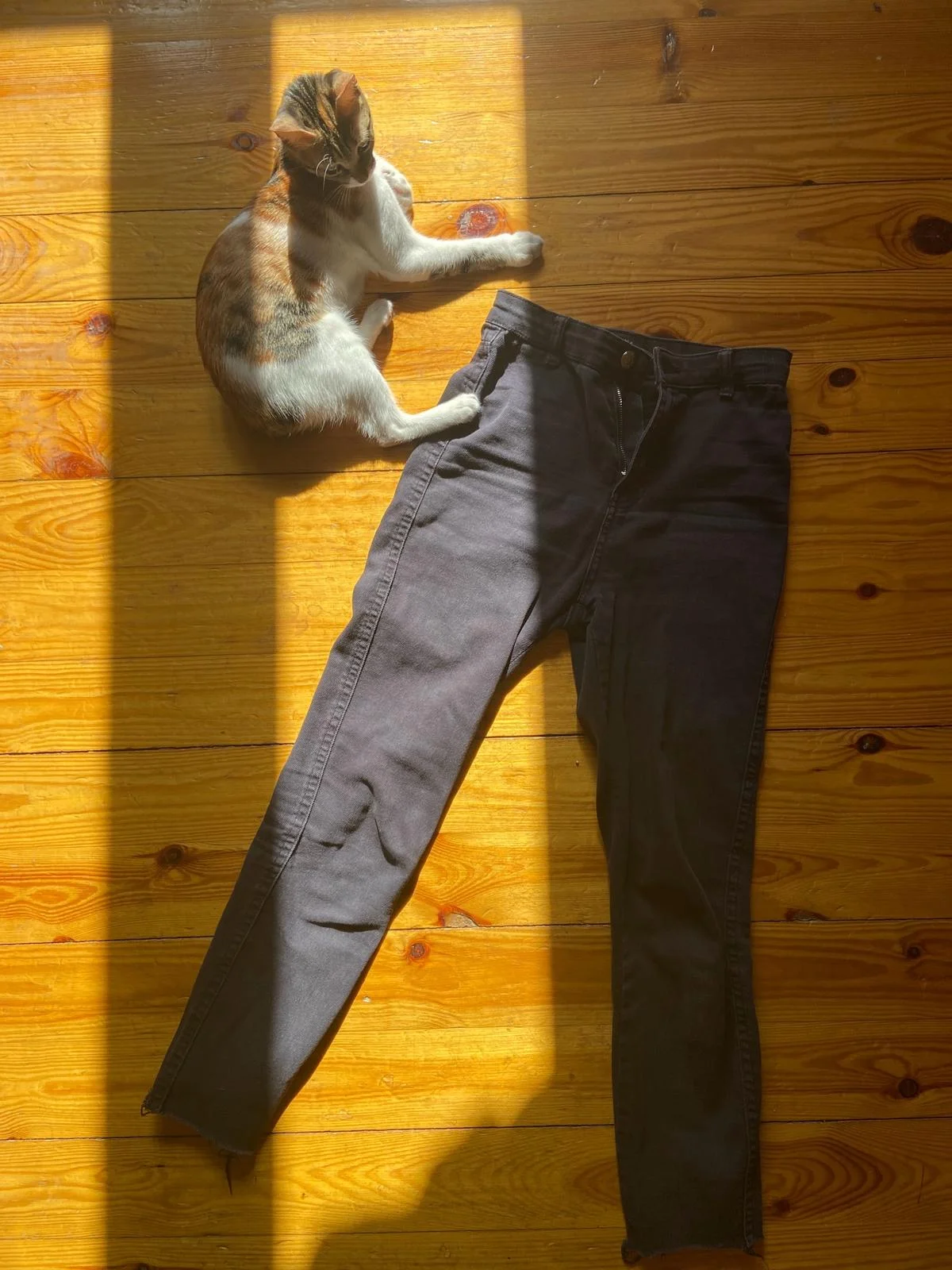 Bershka Jeans, size XS / 34 / 6, photo 1