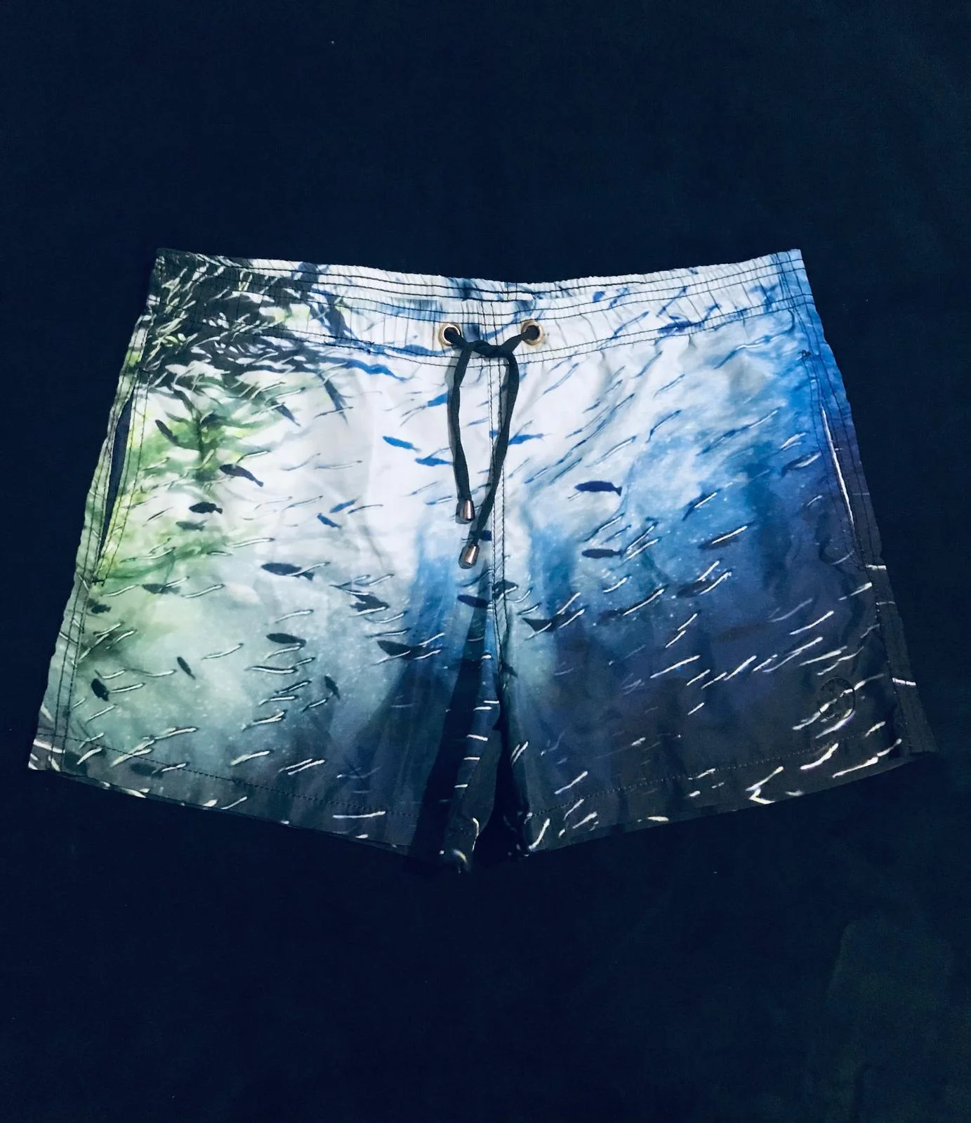 Armani Jeans Swim Trunks, size M, photo 1