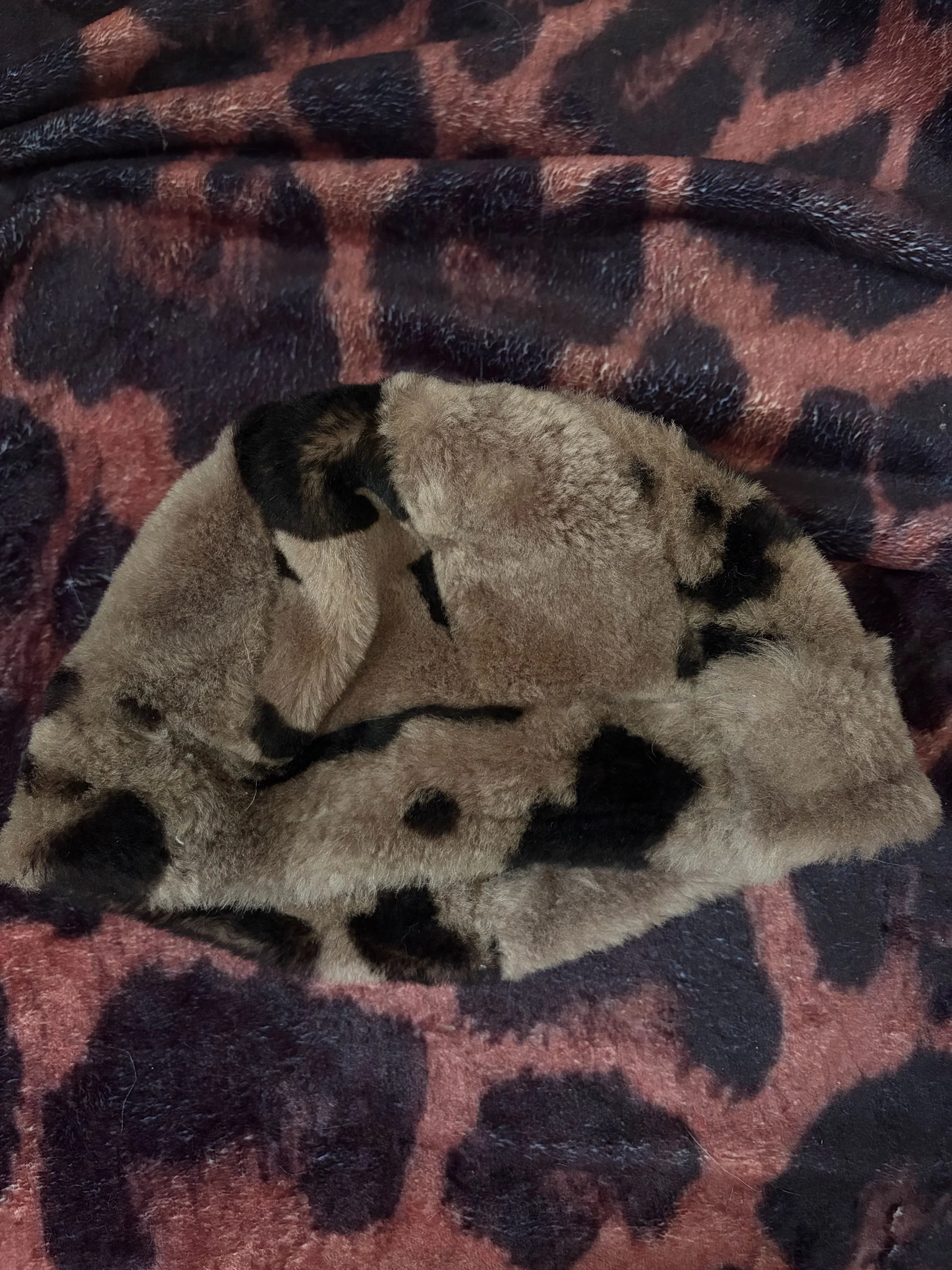 Hats & Caps, size One size, photo 1