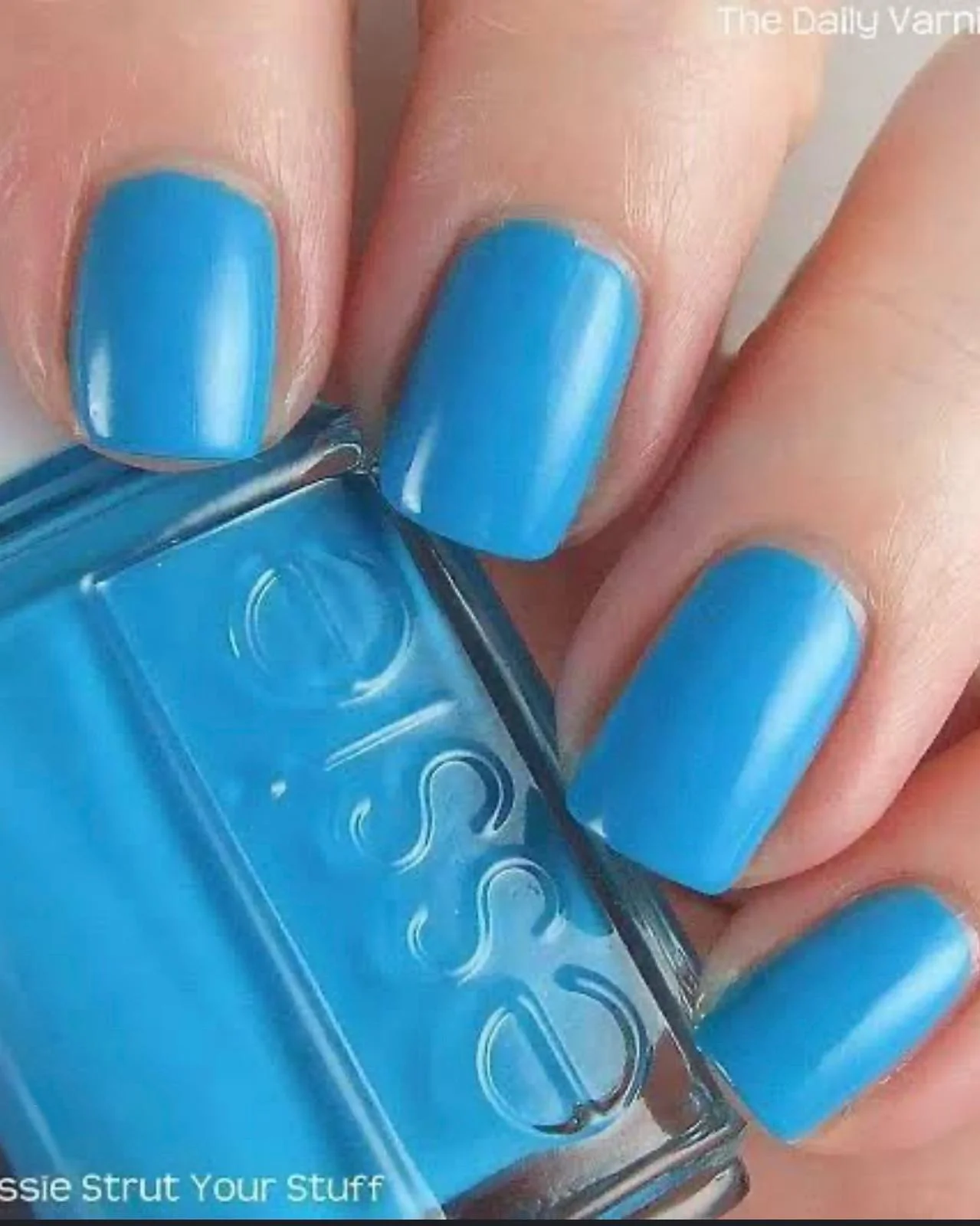 Essie Makeup, size No Size, photo 1