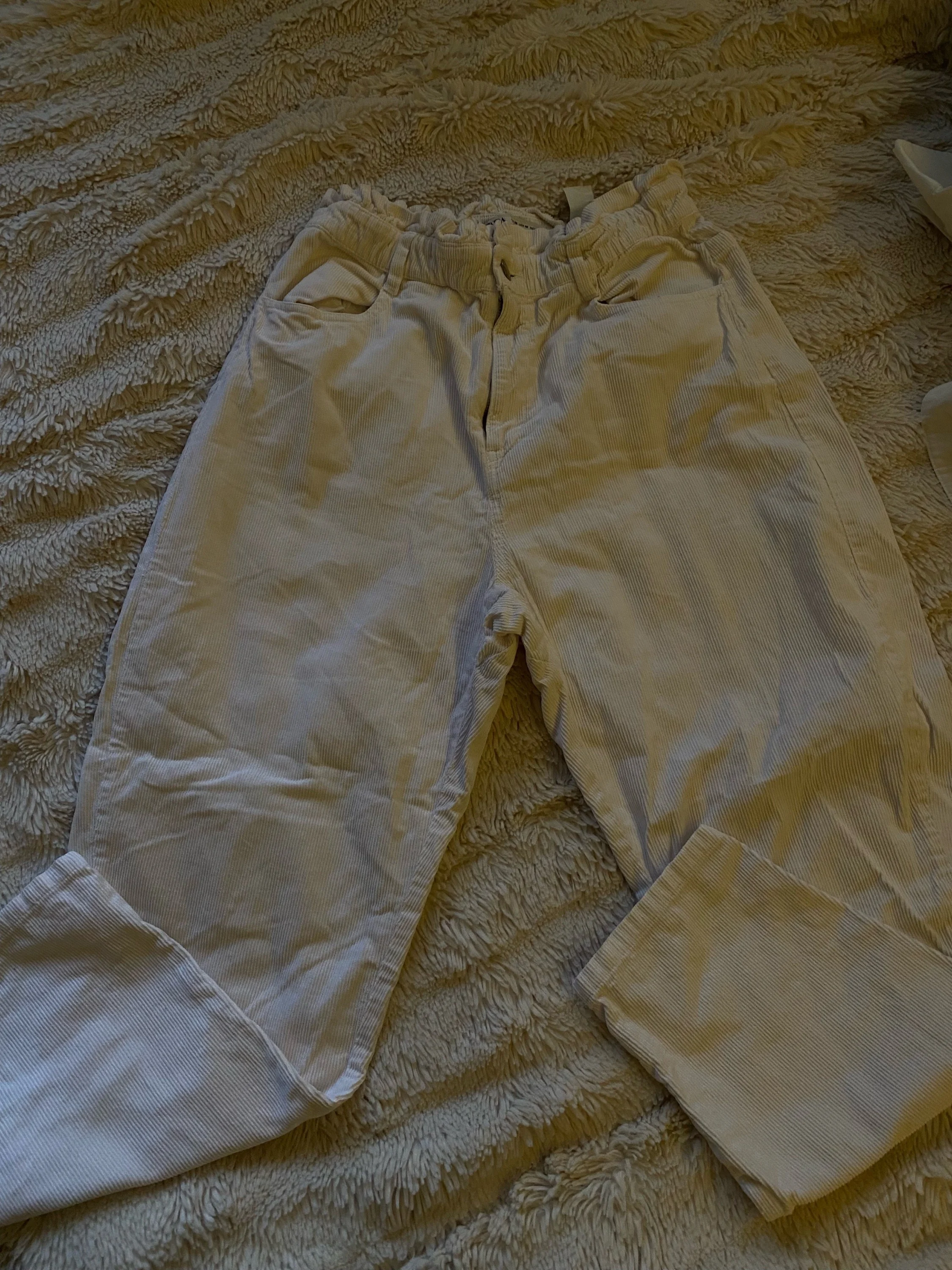 Zara Pants, size M / 38 / 10, photo 1