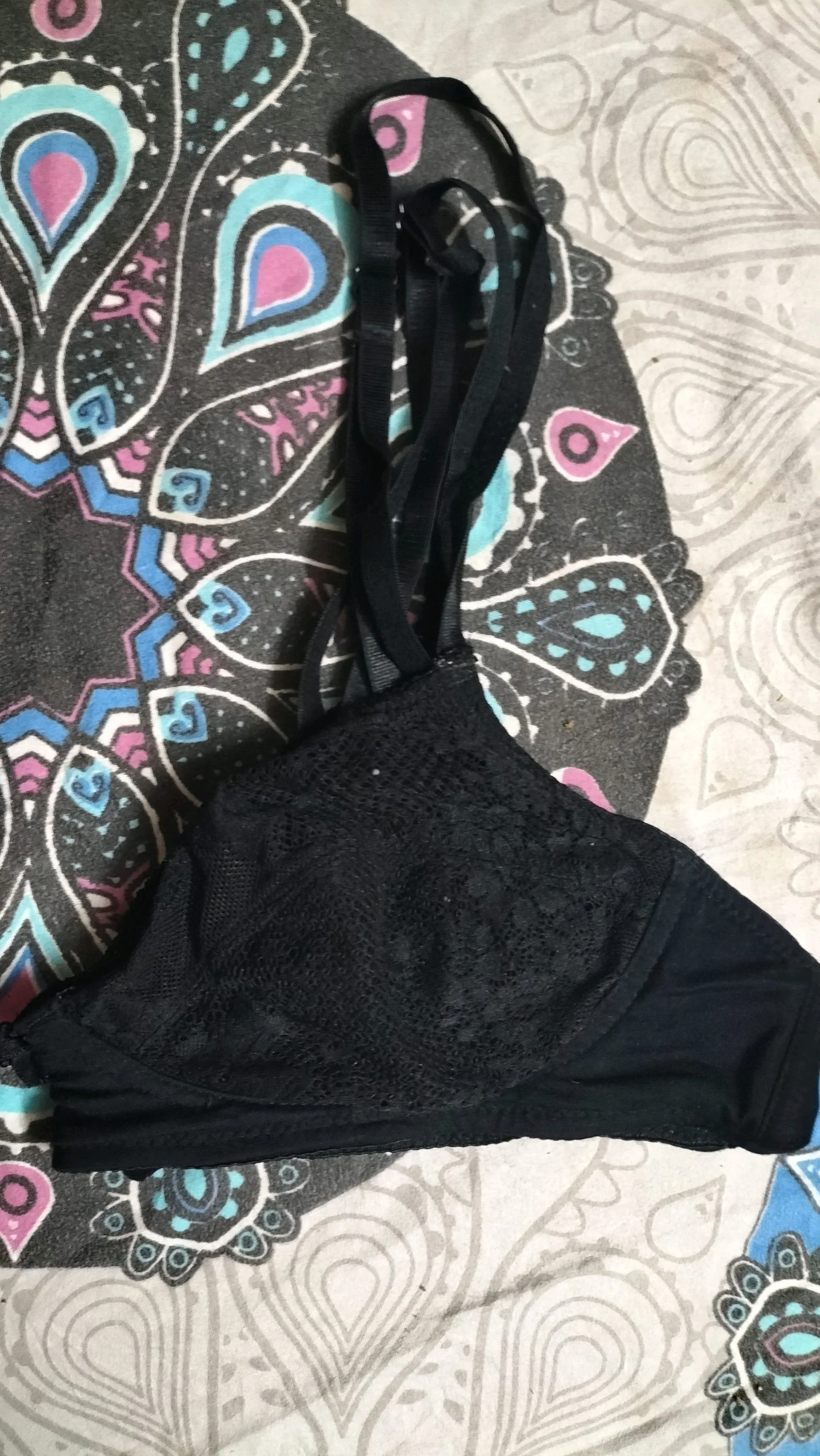 Bras, size S / 36 / 8, photo 1