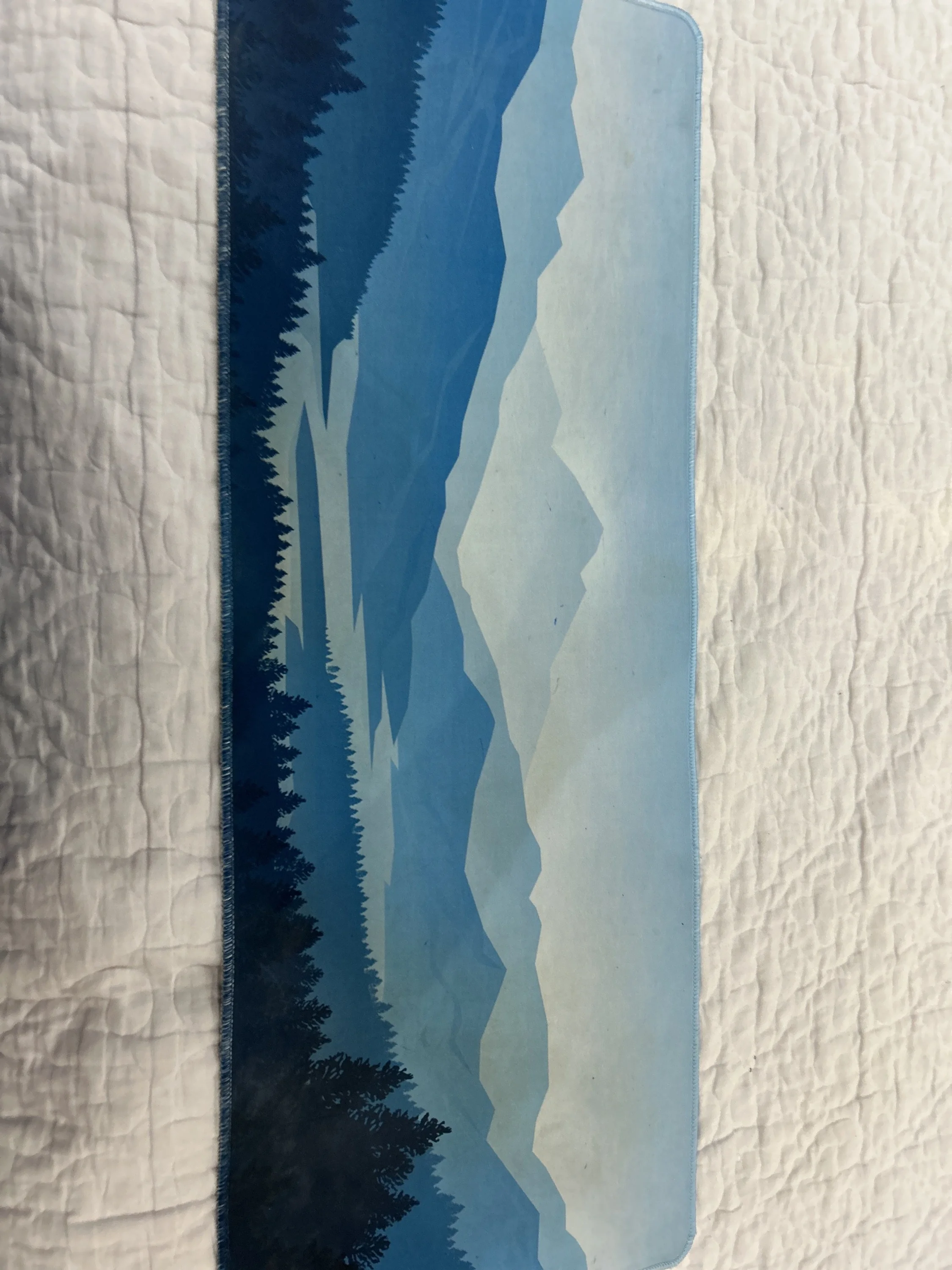 Phone Cases, size Other, photo 1