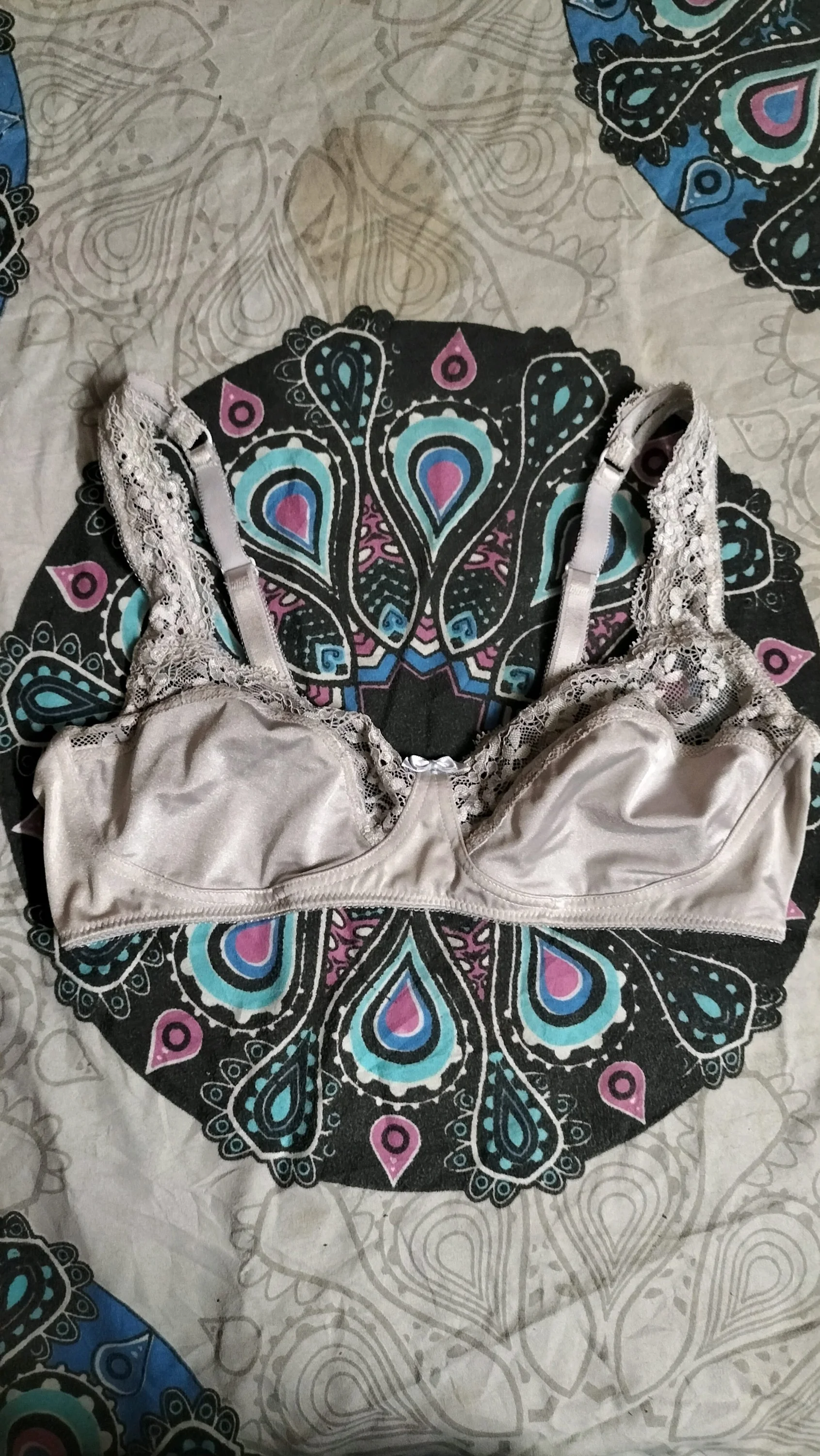 Bras, size S / 36 / 8, photo 1